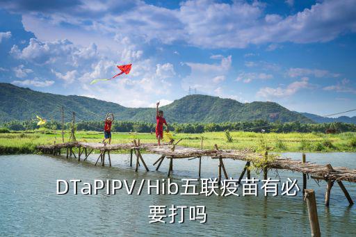 DTaPIPV/Hib五聯疫苗有必要打嗎