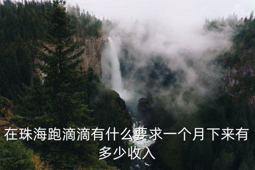 珠海2020兼職的滴滴有多少,2020跑滴滴的還好嗎