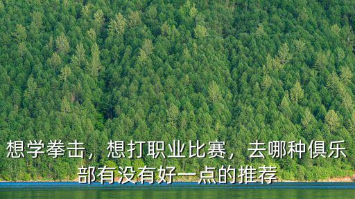 想學(xué)拳擊，想打職業(yè)比賽，去哪種俱樂部有沒有好一點的推薦