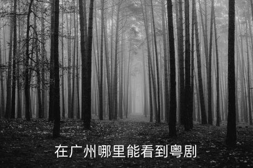 廣州昌崗哪里有小妹,廣州哪里有服裝批發渠道