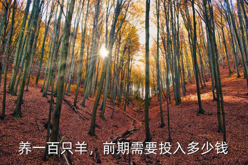 山東小綿羊一只多少錢,前期需要投入多少錢