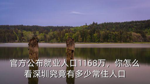 深圳目前總人口多少,深圳究竟有多少常住人口