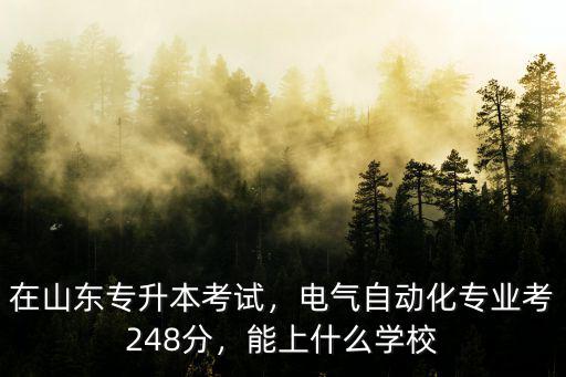 在山東專升本考試，電氣自動化專業考248分，能上什么學校