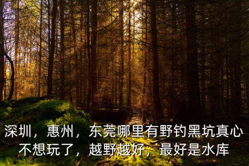 深圳，惠州，東莞哪里有野釣黑坑真心不想玩了，越野越好，最好是水庫
