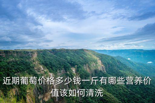 近期葡萄價格多少錢一斤有哪些營養價值該如何清洗