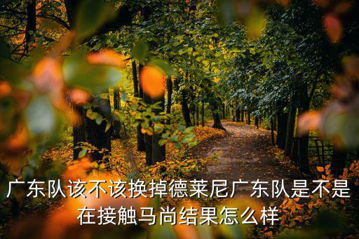 廣東隊怎么樣,你們覺得怎么樣