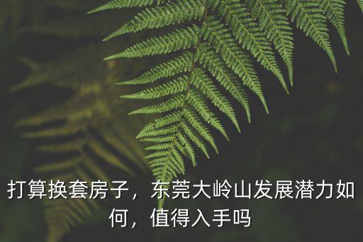 打算換套房子，東莞大嶺山發展潛力如何，值得入手嗎