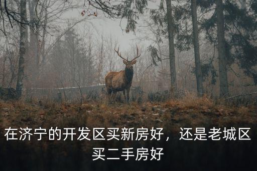 濟寧開發區房價多少,在濟寧的開發區買新房好