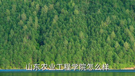 山東農業工程學院專升本率是多少,山東專升本哪一個學校比較好