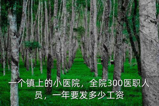 深圳二甲醫院工資多少,二甲縣級醫院外科醫生