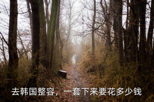 去韓國整容，一套下來要花多少錢