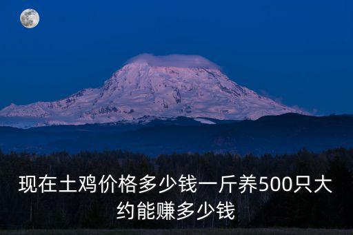 現在土雞價格多少錢一斤養500只大約能賺多少錢