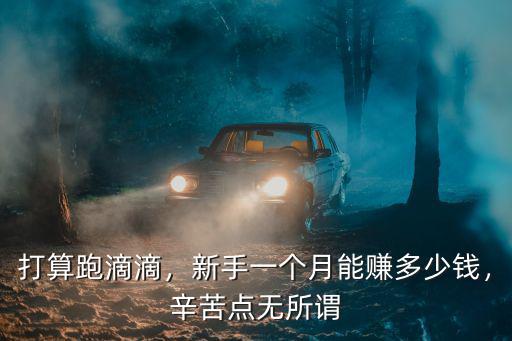 打算跑滴滴，新手一個月能賺多少錢，辛苦點(diǎn)無所謂