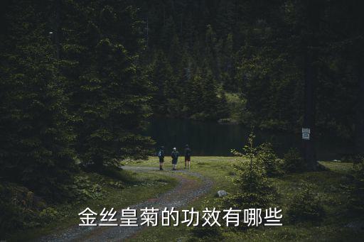 佛山哪里有金絲皇菊,金絲皇菊的功效有哪些
