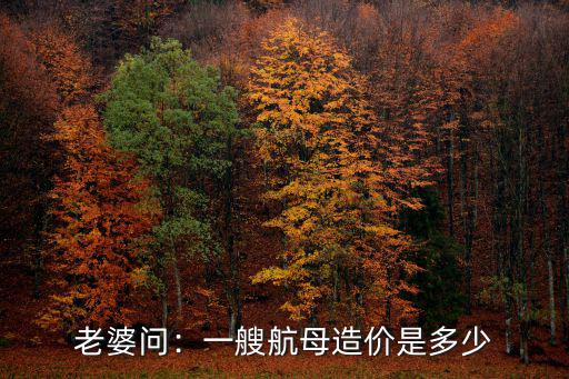 山東號的噸位是多少,山東號航空母艦全長是多少