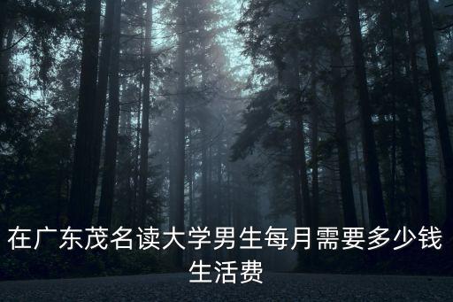 在廣東茂名讀大學男生每月需要多少錢生活費