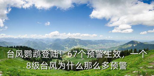 廣東臺風鸚鵡將登陸哪里,臺風鸚鵡登陸廣東陽江