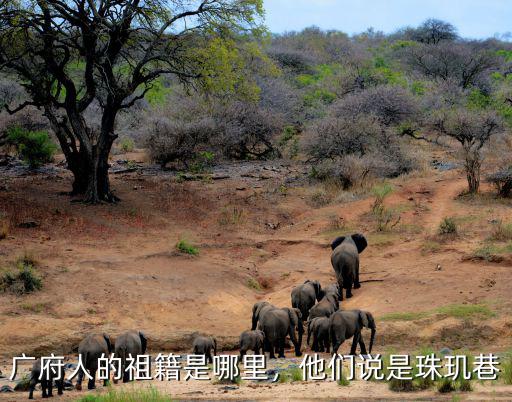 鄧仲元祖籍惠州哪里人,廣府人的祖籍是哪里