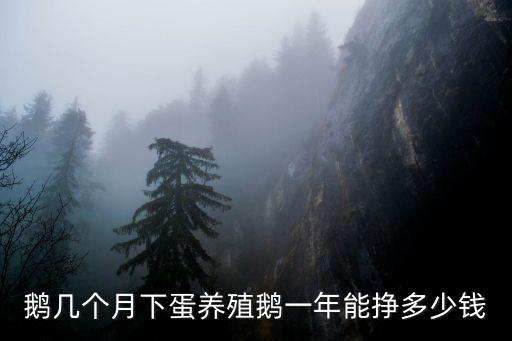 棗莊小鵝一斤多少錢(qián),養(yǎng)殖鵝一年能掙多少錢(qián)