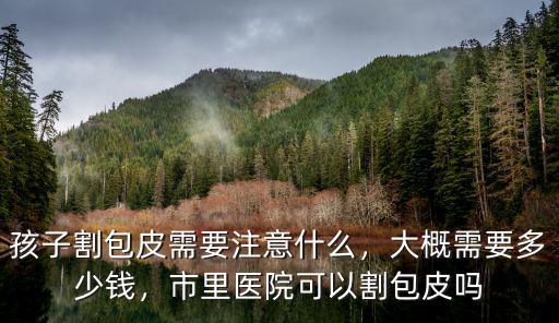 威海包皮手術大概需要花多少錢,孩子割包皮需要注意什么
