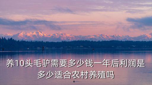 山東養驢多少錢一頭,養10頭毛驢需要多少錢