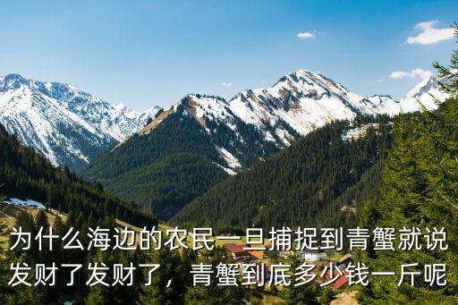 汕頭澄海大青蟹一斤多少錢,青蟹一斤到底能買多少錢