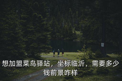 想加盟菜鳥(niǎo)驛站，坐標(biāo)臨沂，需要多少錢(qián)前景咋樣