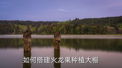 廣東火龍果架子怎么搭,如何搭建火龍果種植大棚