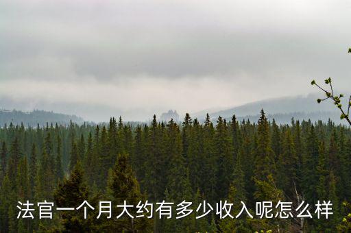 法官一個月大約有多少收入呢怎么樣