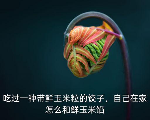 東莞的玉米餃子怎么做,東莞的玉米餃子怎么做
