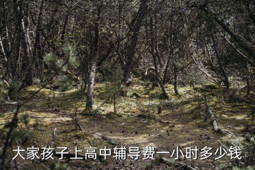 廣州高中地理補(bǔ)課要多少錢(qián)一小時(shí)?,高中補(bǔ)課多少錢(qián)一小時(shí)合理