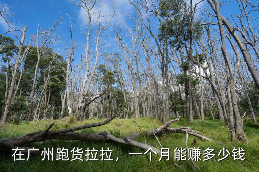 在廣州跑貨拉拉，一個月能賺多少錢