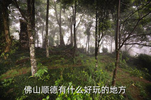 佛山順德有什么好玩的地方