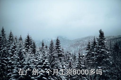 在廣州一個月工資8000多嗎