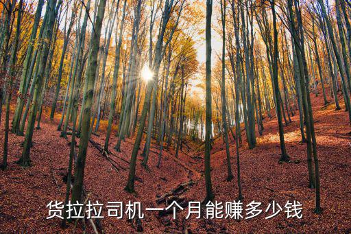 貨拉拉司機一個月能賺多少錢