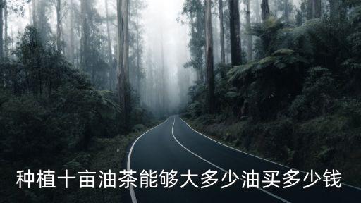 種植十畝油茶能夠大多少油買多少錢