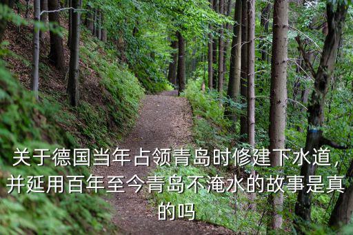 青島被外國占領多少年,德國占領青島17年