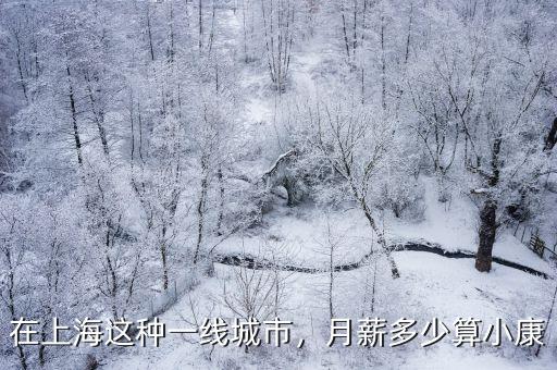 在上海這種一線城市，月薪多少算小康