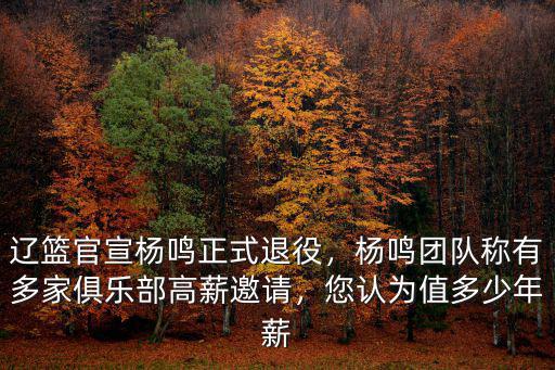 遼籃官宣楊鳴正式退役，楊鳴團隊稱有多家俱樂部高薪邀請，您認為值多少年薪
