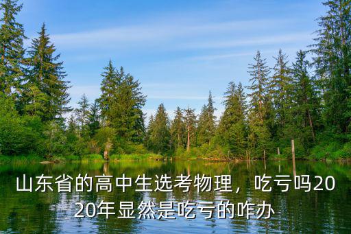 山東省2020年選擇物理的學生有多少,山東省的高中生選考物理