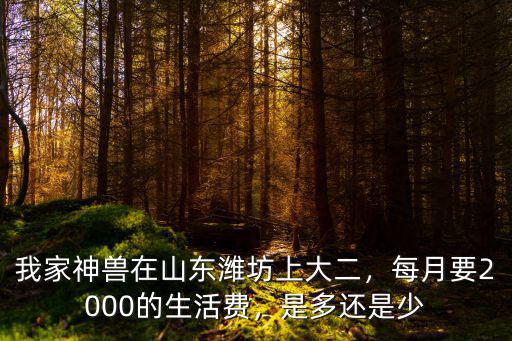 濰坊學院大二住宿費是多少,如何看待濰坊學院的天價學費