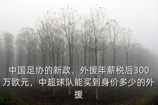 中國足協(xié)的新政，外援年薪稅后300萬歐元，中超球隊(duì)能買到身價(jià)多少的外援