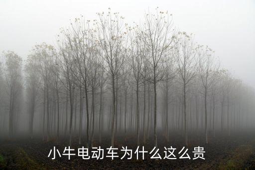 小牛電動車為什么這么貴