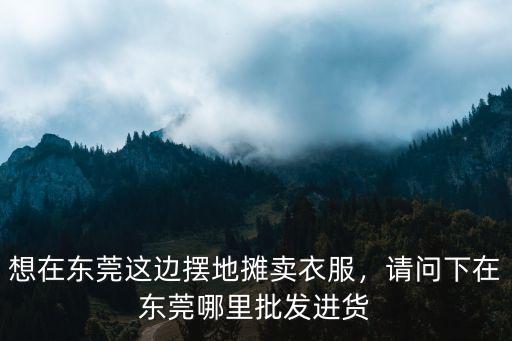 東莞西裝禮服在哪里賣,想在東莞這邊擺地攤賣衣服