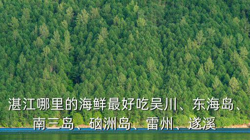 湛江哪里有高檔好吃的,湛江哪里的海鮮最好吃