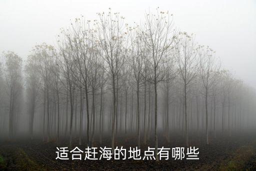 惠州市惠東縣哪里有趕海,惠州哪里趕海好玩