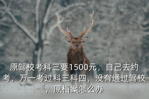 肇慶民樂橋科四考試沒有檔案怎么辦,駕考檔案丟失了怎么辦