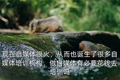 現(xiàn)在自媒體很火，從而也誕生了很多自媒體培訓(xùn)機(jī)構(gòu)，做自媒體有必要花錢去培訓(xùn)嗎