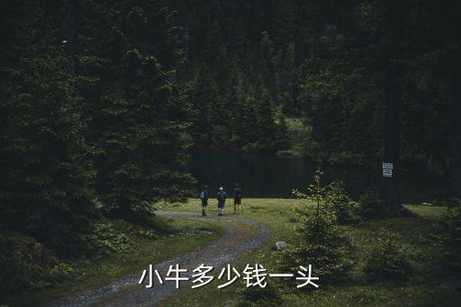 菏澤小牛多少錢,小牛多少錢一頭