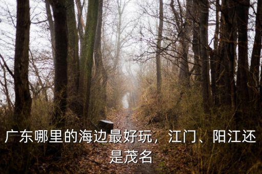 廣東哪里的海邊最好玩，江門、陽江還是茂名